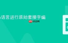 使用Go语言进行原始套接字编程