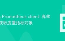 Python Prometheus client: 高效管理与获取度量指标对象