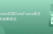 基于Pandas实现DataFrame成对行匹配与结果标记
