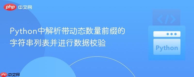 Python中解析带动态数量前缀的字符串列表并进行数据校验
