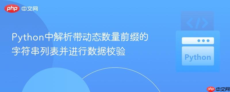 Python中解析带动态数量前缀的字符串列表并进行数据校验