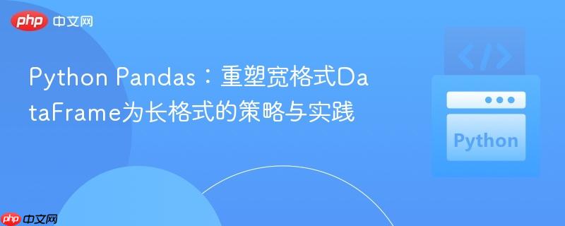 Python Pandas:重塑宽格式DataFrame为长格式的策略与实践