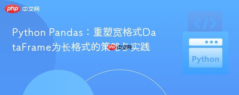 Python Pandas：重塑宽格式DataFrame为长格式的策略与实践
