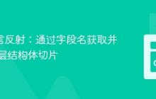 Go 语言反射:通过字段名获取并转换底层结构体切片