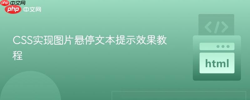 CSS实现图片悬停文本提示效果教程