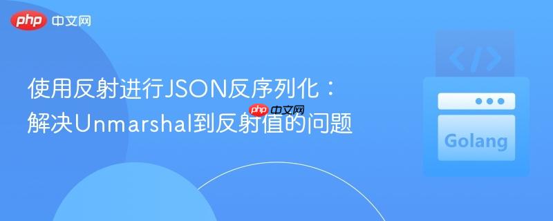 使用反射进行json反序列化：解决unmarshal到反射值的问题