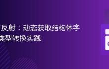 Go语言反射：动态获取结构体字段值与类型转换实践