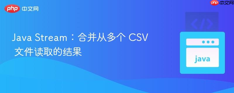 java stream：合并从多个 csv 文件读取的结果