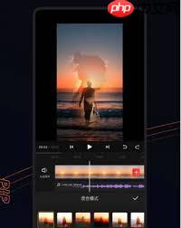 快影如何关闭续费服务