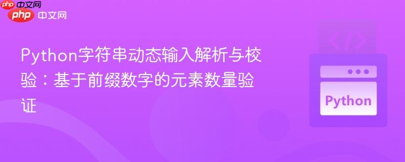 Python字符串动态输入解析与校验：基于前缀数字的元素数量验证
