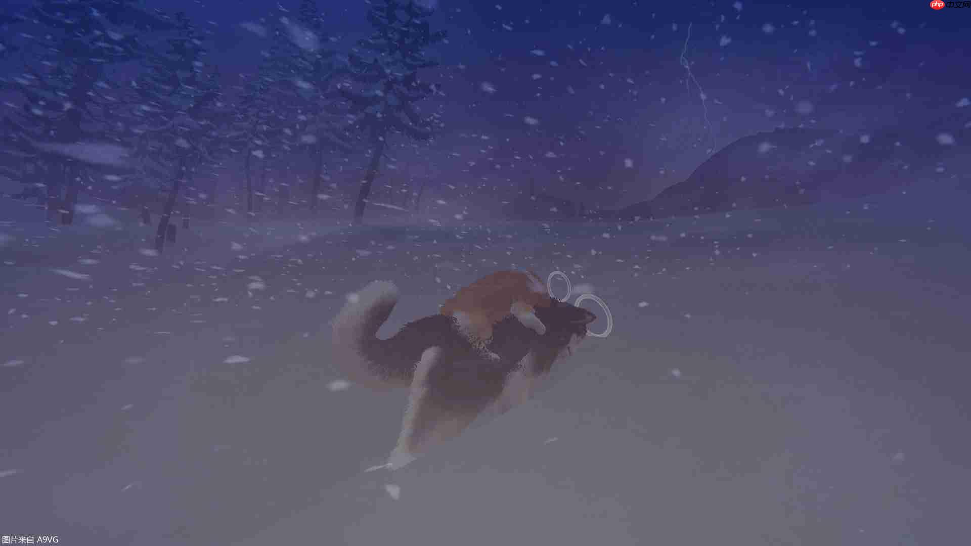 温情新作《My Little Puppy我的小柯基》将于11月7日全球发售