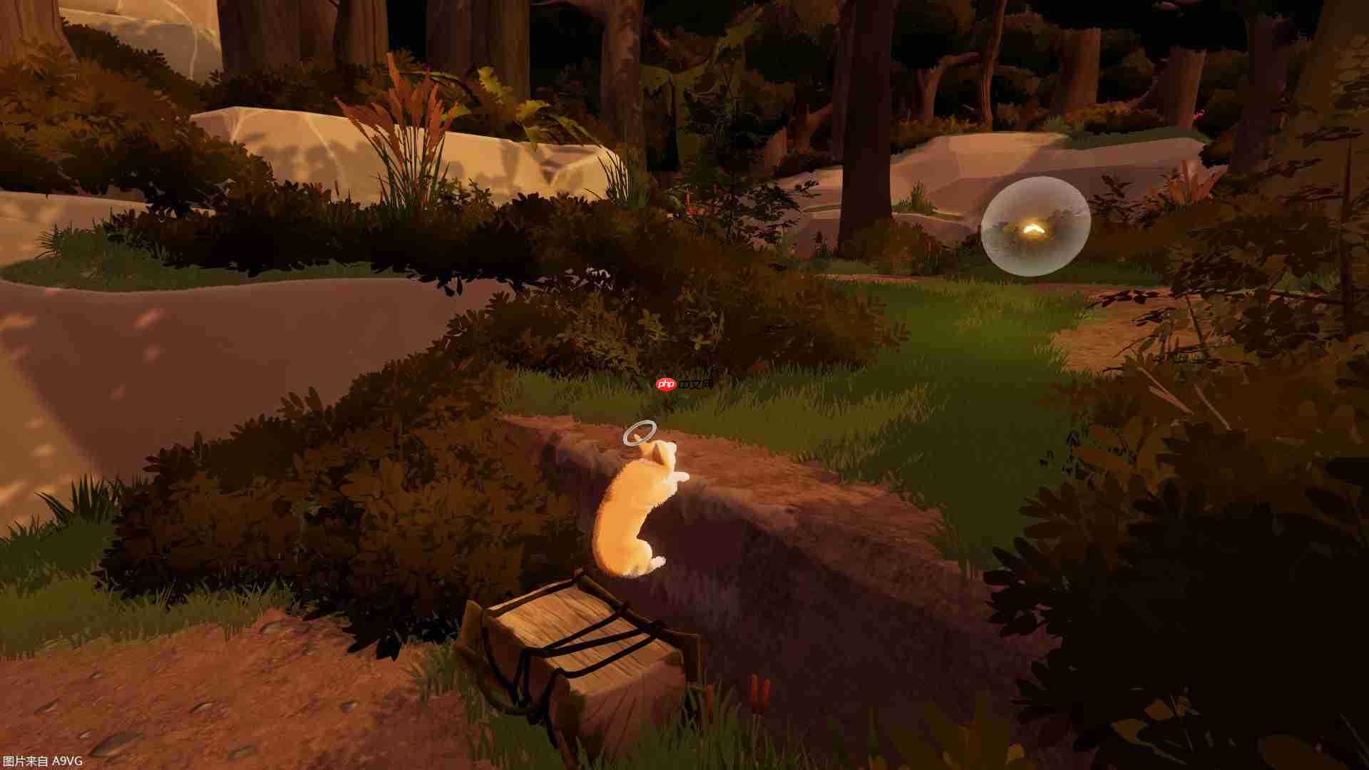 温情新作《My Little Puppy我的小柯基》将于11月7日全球发售