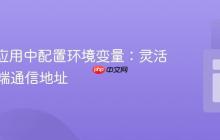 Vue.js应用中配置环境变量:灵活管理后端通信地址
