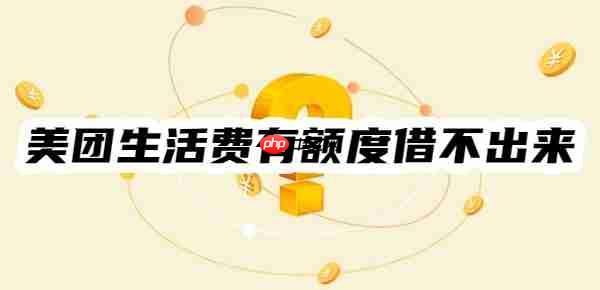 美团生活费有额度借不出来怎么办?试试这些办法!看看其他借款