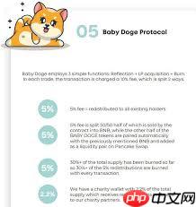 Babydoge币什么时候发行