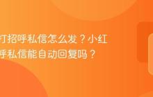 小红书打招呼私信怎么发？小红书打招呼私信能自动回复吗？