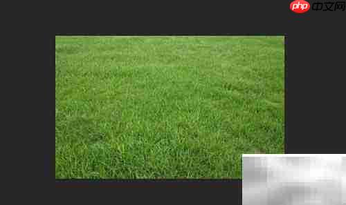 pscs6光照按钮灰色解决方法