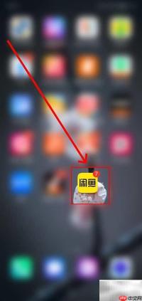 闲鱼鱼力行动参与指南