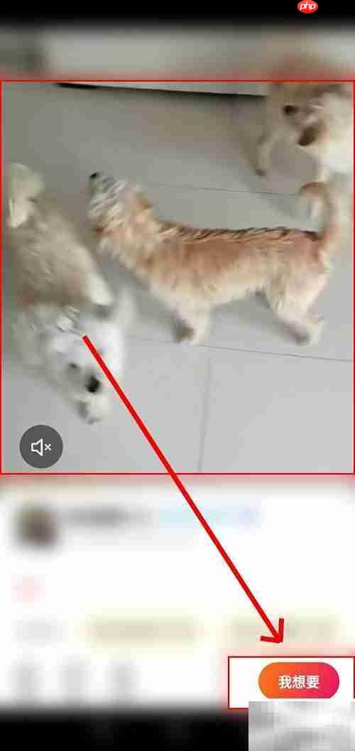 闲鱼鱼力行动参与指南