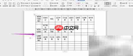 基层党支部统计表制作指南