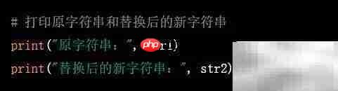 Python replace方法详解