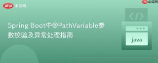 Spring Boot中@PathVariable参数校验及异常处理指南