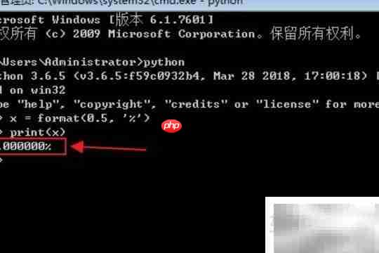 Python format用法详解