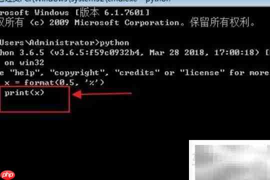 Python format用法详解