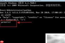 Python format用法详解