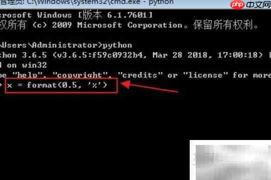 Python format用法详解