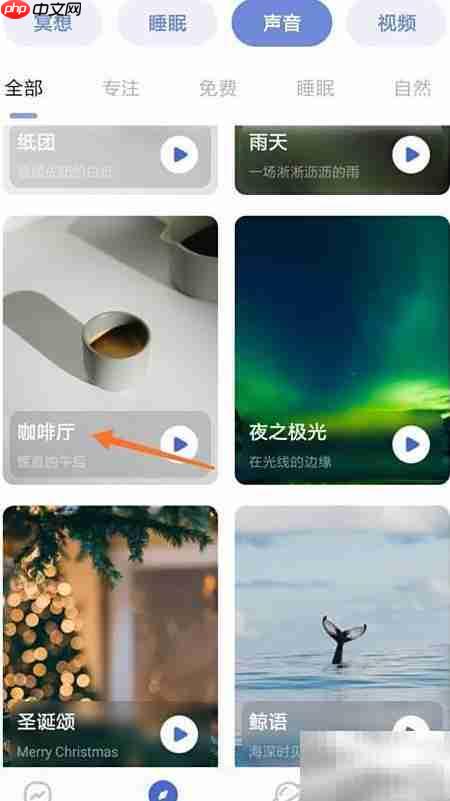 NiceDay咖啡厅试听指南