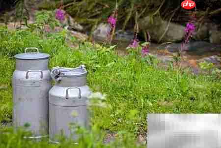 牛奶配送系统下载推荐