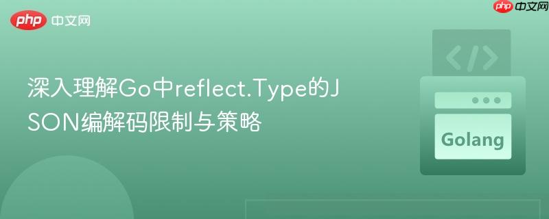 深入理解Go中reflect.Type的JSON编解码限制与策略