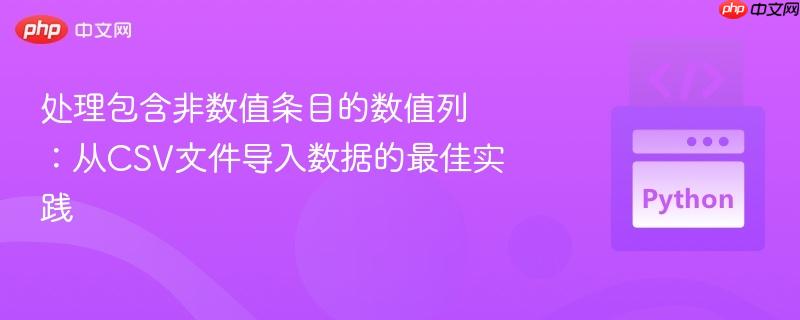 处理包含非数值条目的数值列：从csv文件导入数据的最佳实践