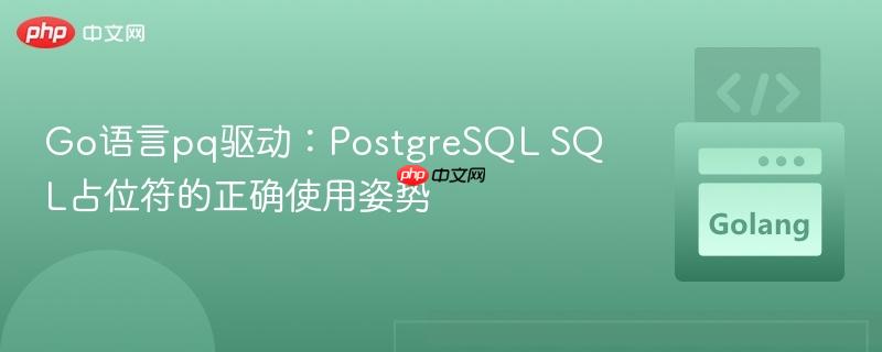Go语言pq驱动:PostgreSQL SQL占位符的正确使用姿势