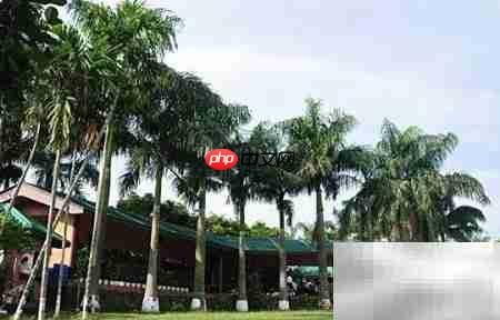 咖啡厅设计灵感:简约与美学融合