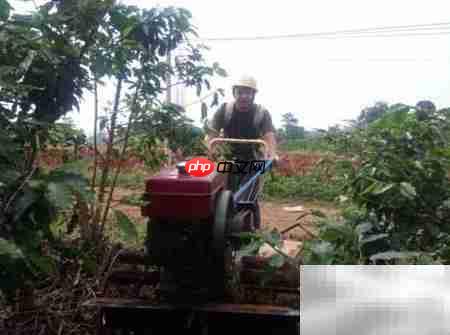 咖啡厅设计灵感:简约与美学融合