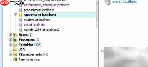Maestro修改存储过程名
