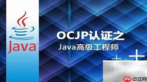 OCJP认证的实用价值解析