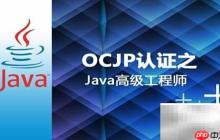 OCJP认证的实用价值解析