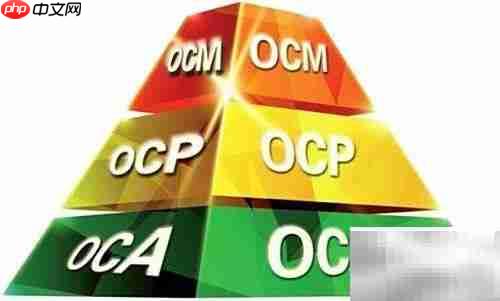 OCJP认证的实用价值解析