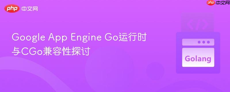 Google App Engine Go运行时与CGo兼容性探讨