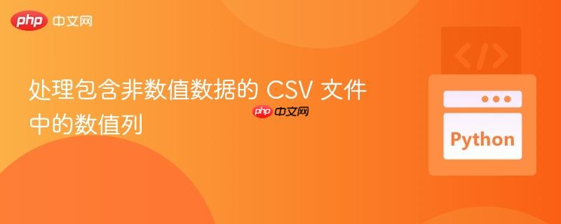 处理包含非数值数据的 CSV 文件中的数值列