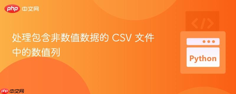 处理包含非数值数据的 csv 文件中的数值列
