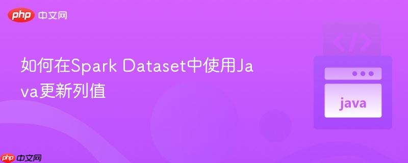 如何在Spark Dataset中使用Java更新列值