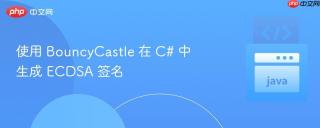 使用 BouncyCastle 在 C# 中生成 ECDSA 签名