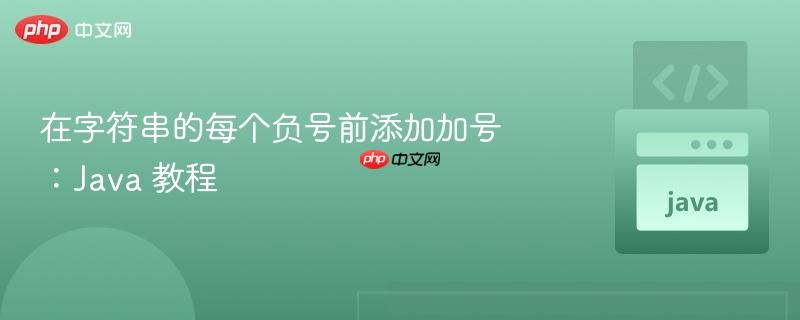 在字符串的每个负号前添加加号:java 教程