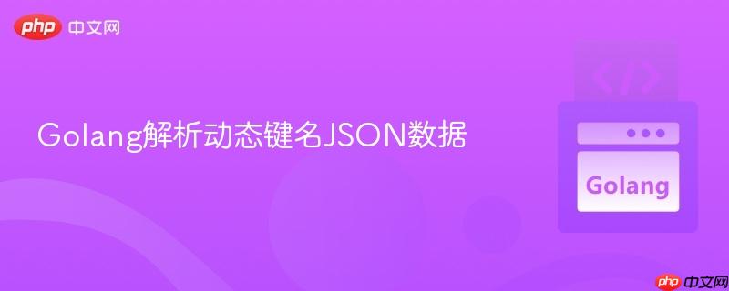 Golang解析动态键名JSON数据