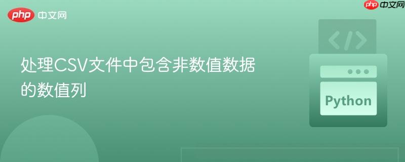 处理csv文件中包含非数值数据的数值列