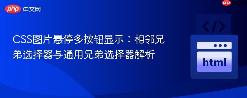 CSS图片悬停多按钮显示:相邻兄弟选择器与通用兄弟选择器解析